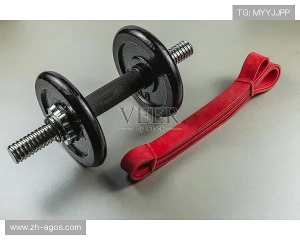 常用健身器材分类汇总及各类型的主要锻炼功能